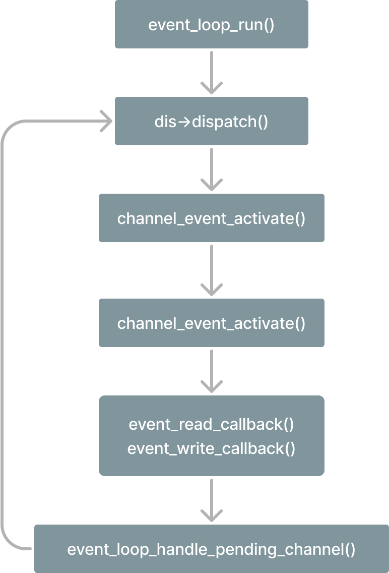 C Programming Network Socket
