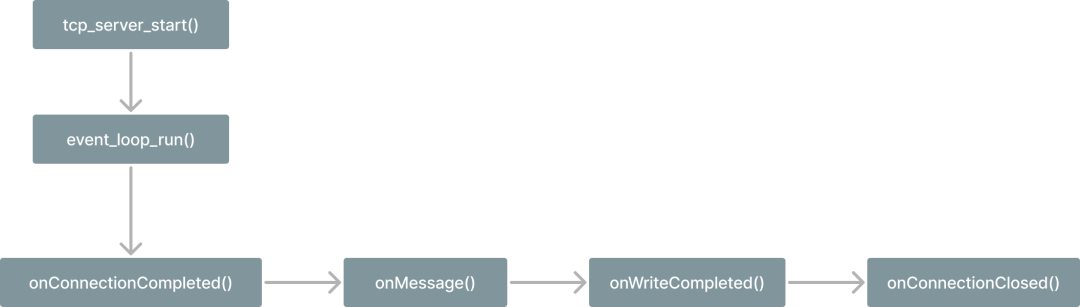 C Programming Network Socket